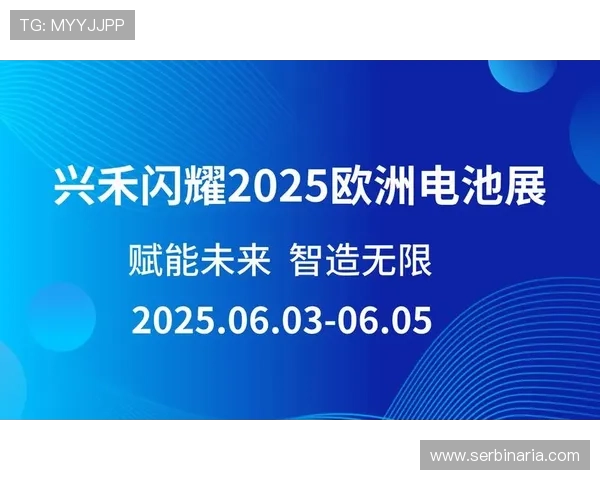 掌握亚星yaxin222登录技巧，确保账号安全顺畅登录的实用指南